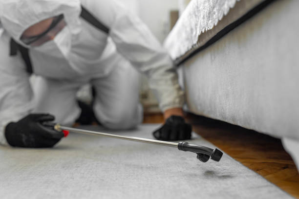 Professional Termite Control technician working in Gillette, NJ