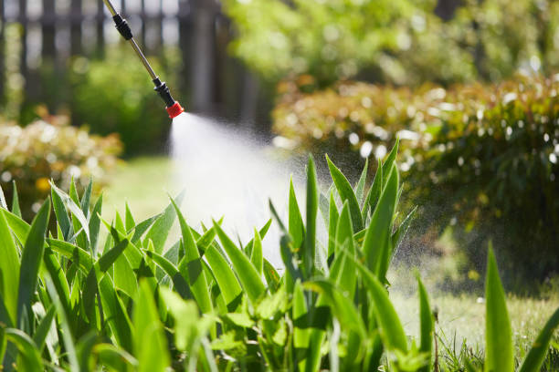 24/7 Emergency Termite Control experts in Gillette, NJ